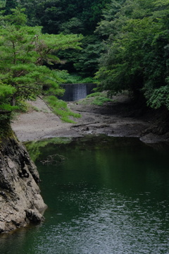 緑色の景色