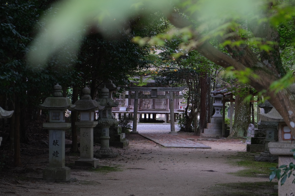 石灯篭と石鳥居