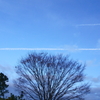 朝の飛行機雲