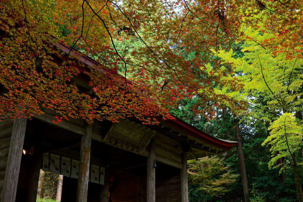 紅葉の金勝寺