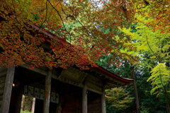 紅葉の金勝寺