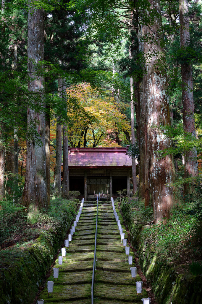 木漏れ日の金勝寺