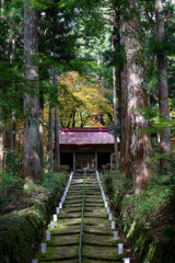 木漏れ日の金勝寺