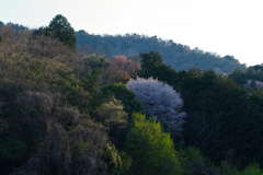 山あいの夕暮れ