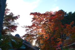 小さな鐘楼屋根と紅葉