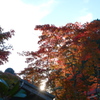 小さな鐘楼屋根と紅葉