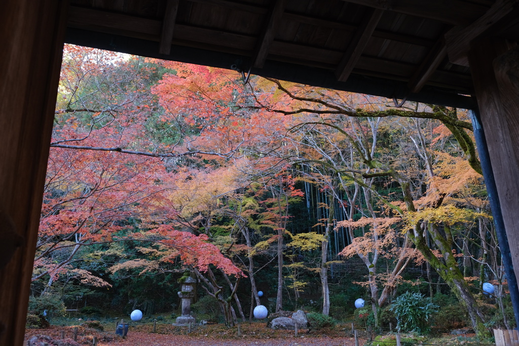 庭門の中の紅葉