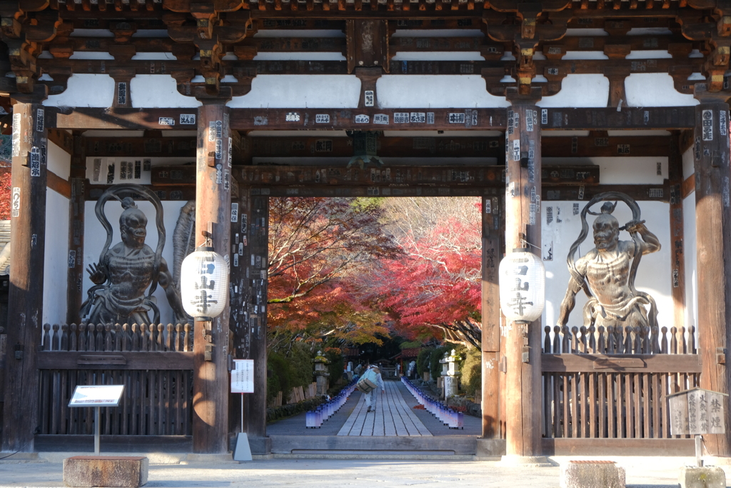 天を仰ぐ