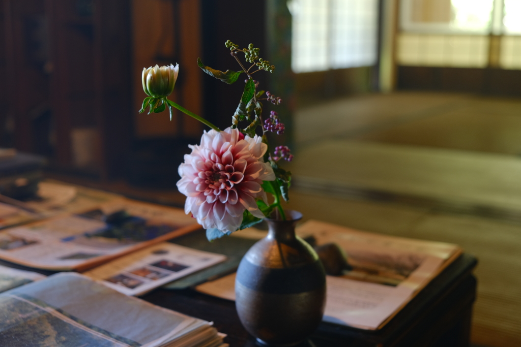 歓迎の花実
