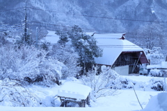 雪景色