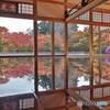 宝徳寺　床もみじ