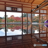宝徳寺　床もみじ