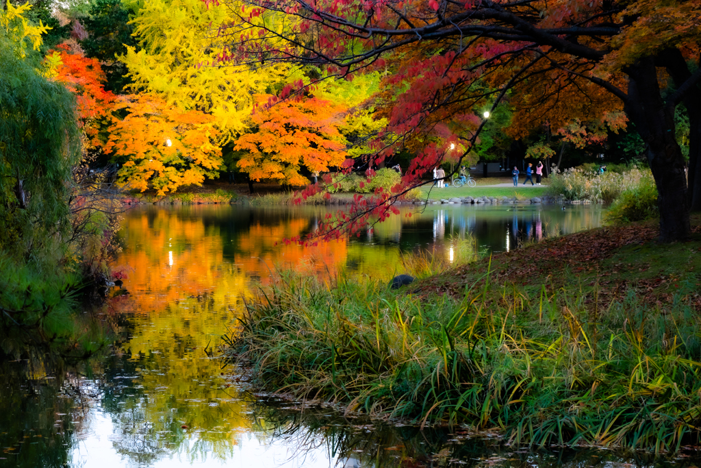 中島公園１０２５