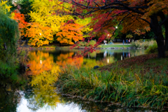 中島公園１０２５