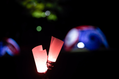 日本庭園をライトアップ