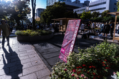 公共的空間活用実証実験