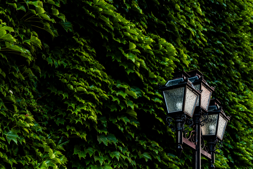 夏のサッポロファクトリー