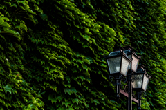 夏のサッポロファクトリー