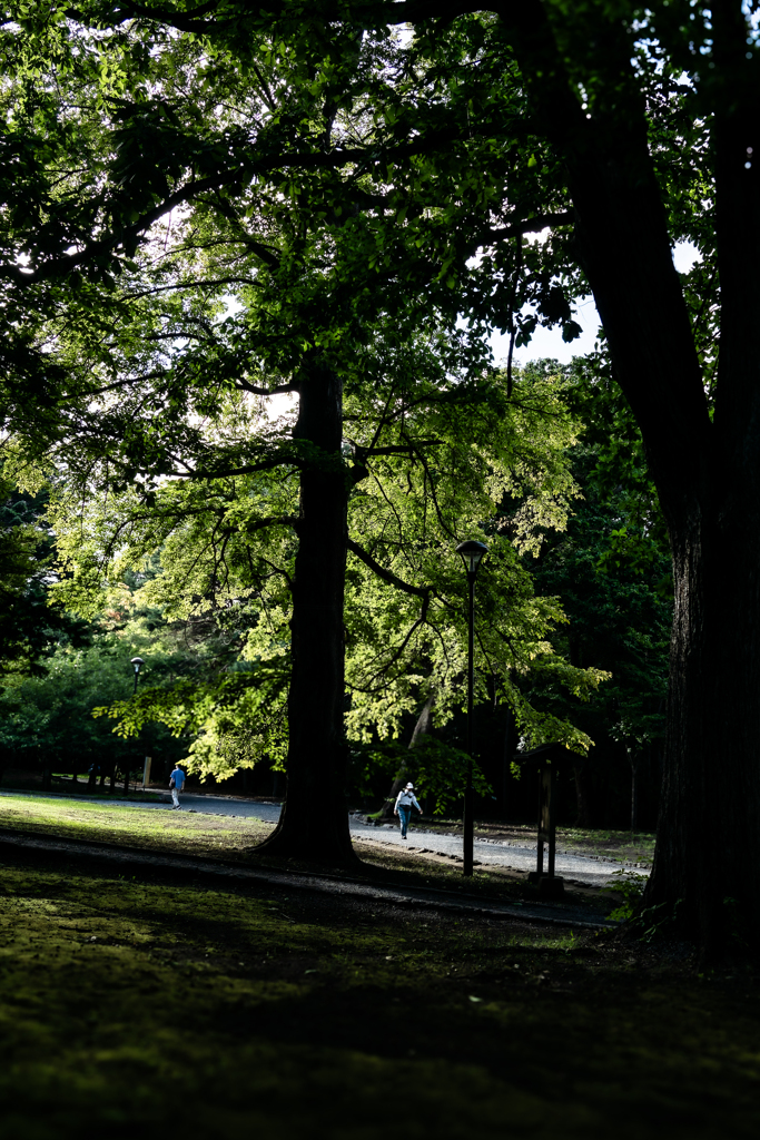 北海道神宮境内240830