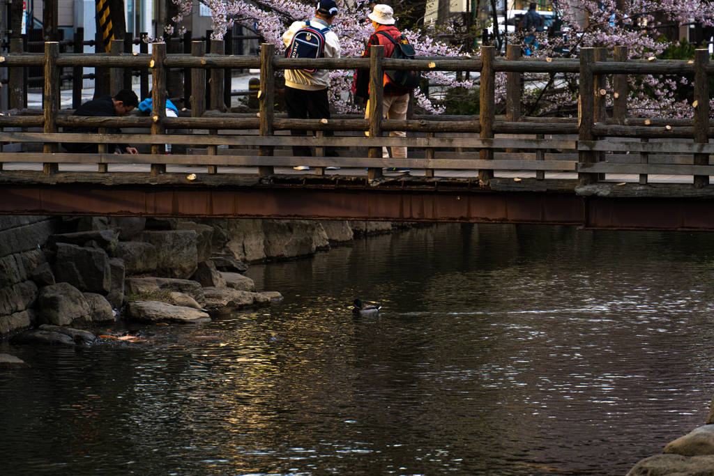 ススキノ界隈４−２５ー４