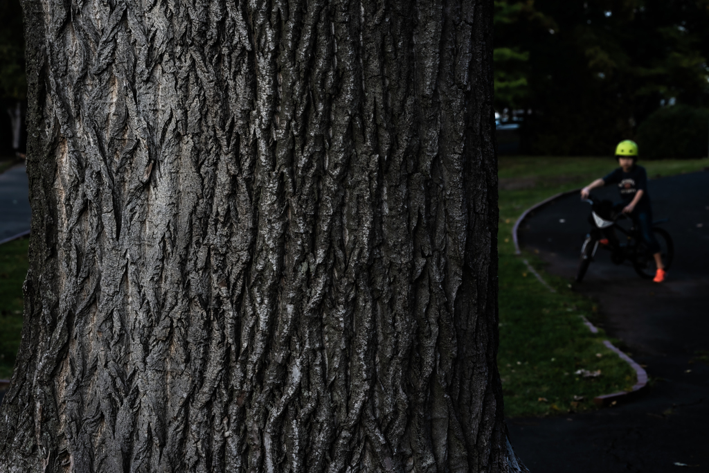 発寒河畔公園１