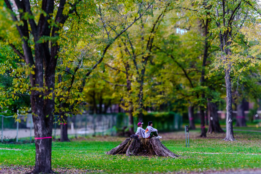ずっと話し込んでいた