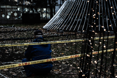 ホワイトイルミネーション準備中１