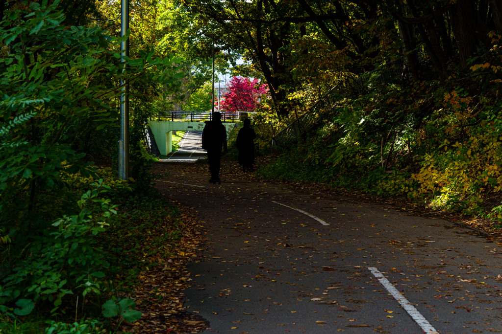 陽だまりロード4