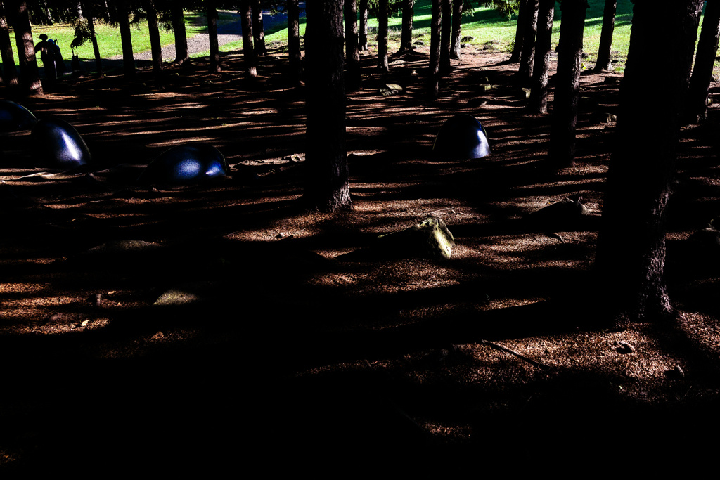 コスプレ撮影会に出くわした