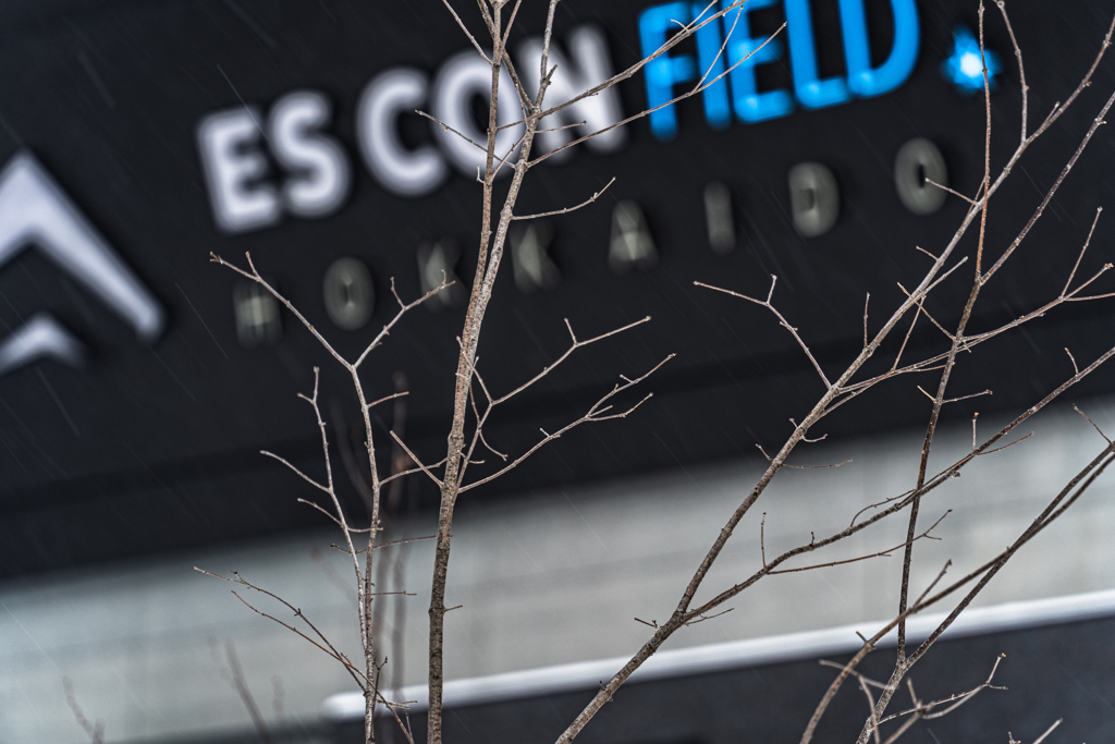 ESCON FIELD