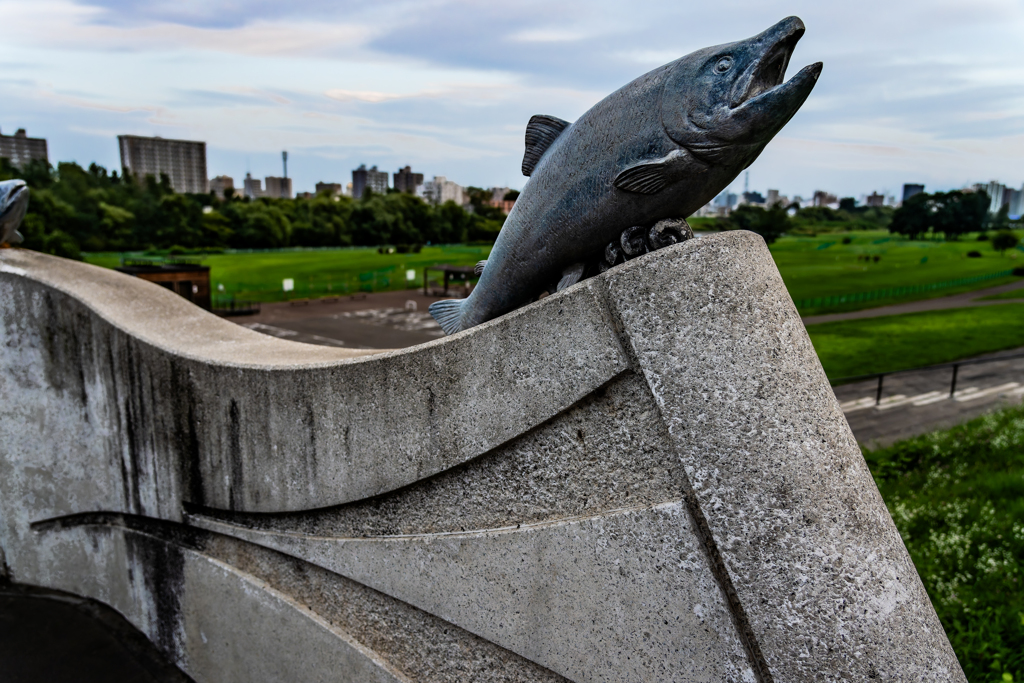 鮭が遡上する街