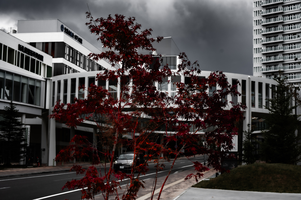 アクティブリンク