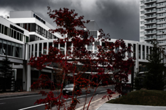 アクティブリンク