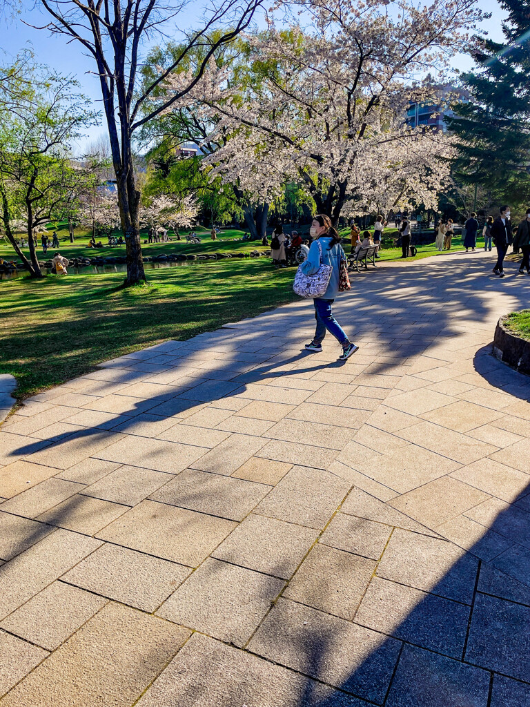 中島公園を歩く