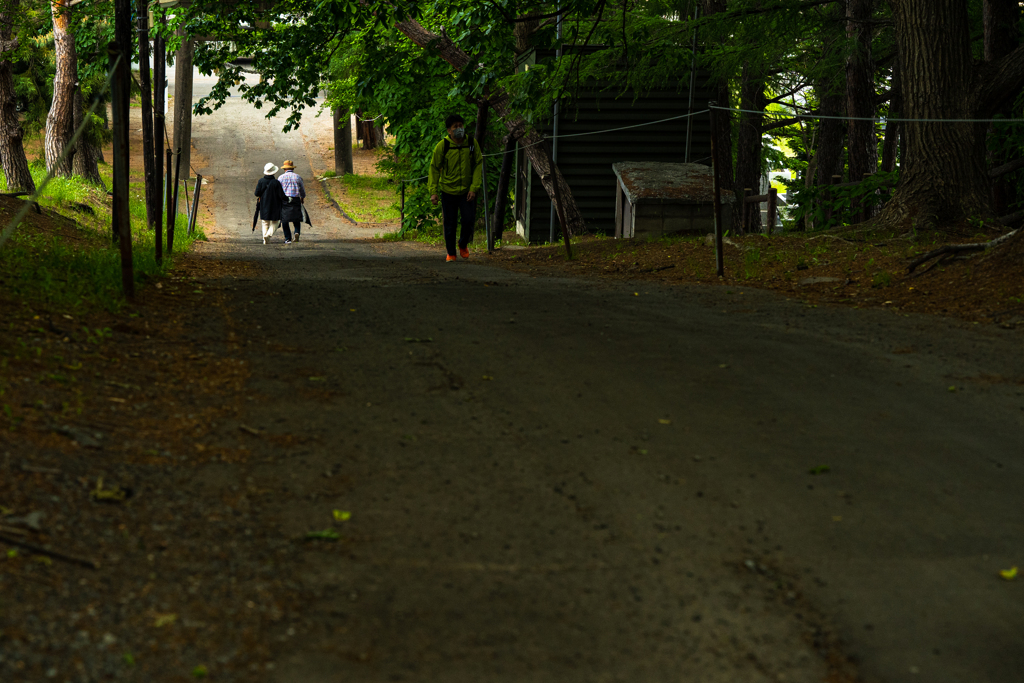 天神山緑地０６０１２