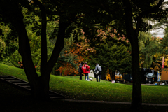 われらカンパニー