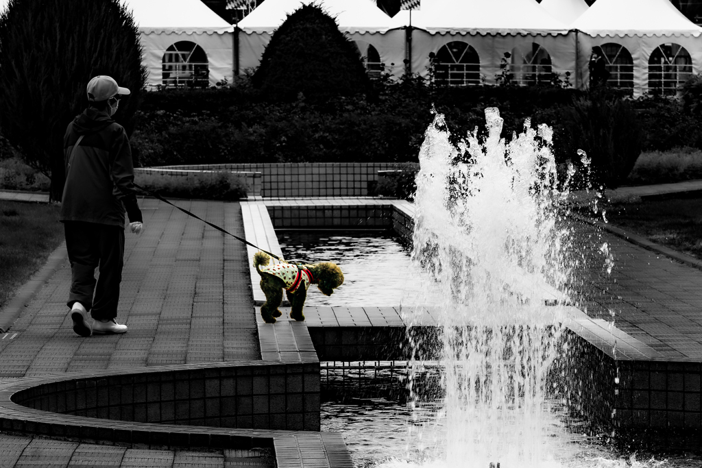 七月の大通公園