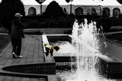 七月の大通公園