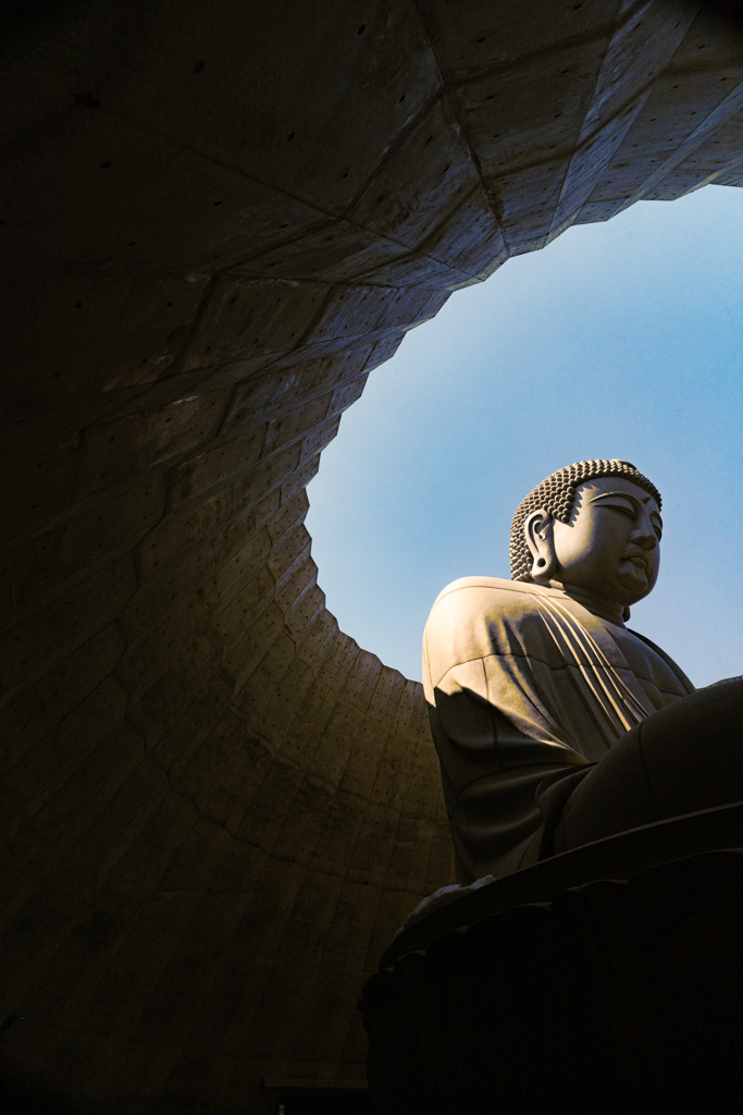 頭大仏２