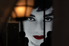 見つめるオードリー