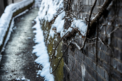 函館本線をくぐる２