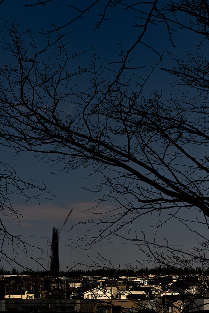 解体が始まった１００年記念塔