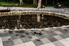 最近できた遊水路