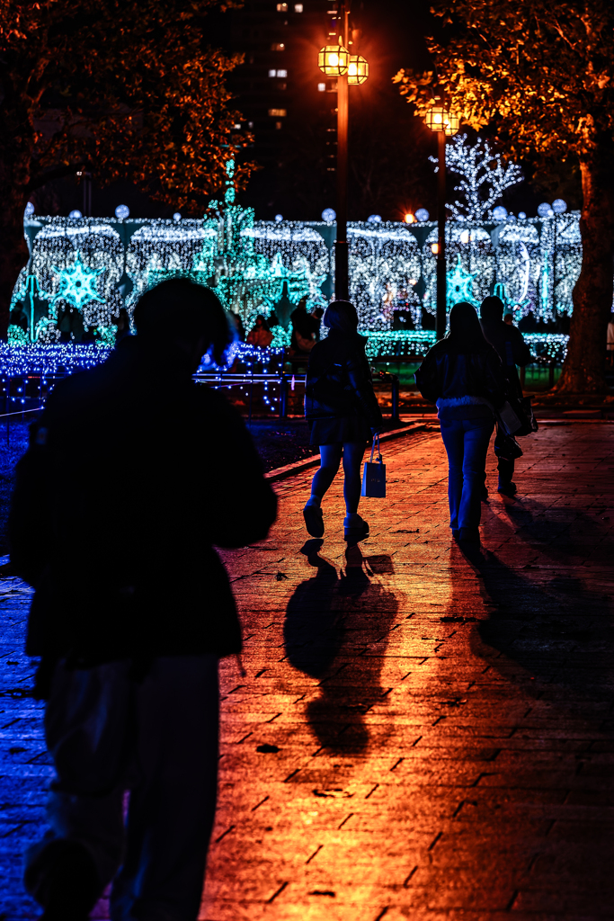 大通公園のイルミネーション