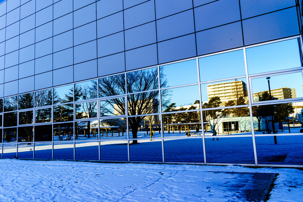 冬の青少年科学館1