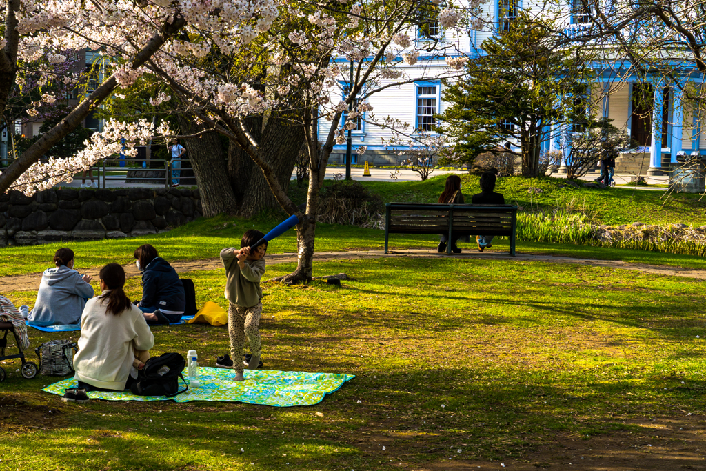 中島公園４−２５ー４