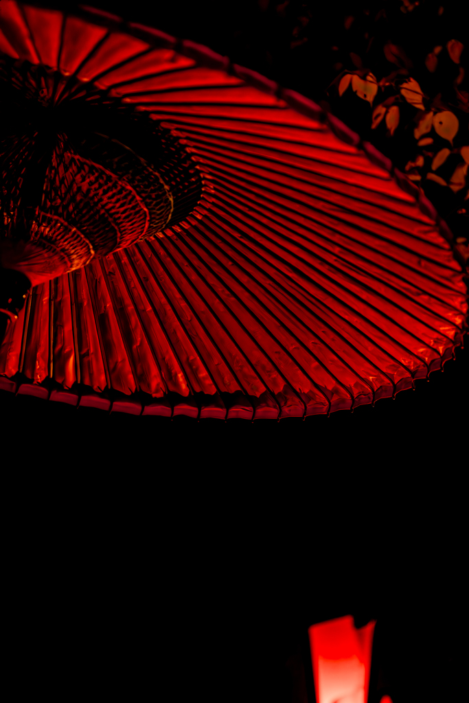 和傘のライトアップ