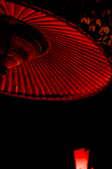 和傘のライトアップ