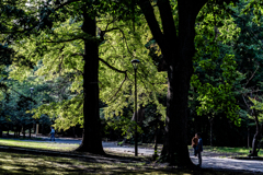 北海道神宮境内で