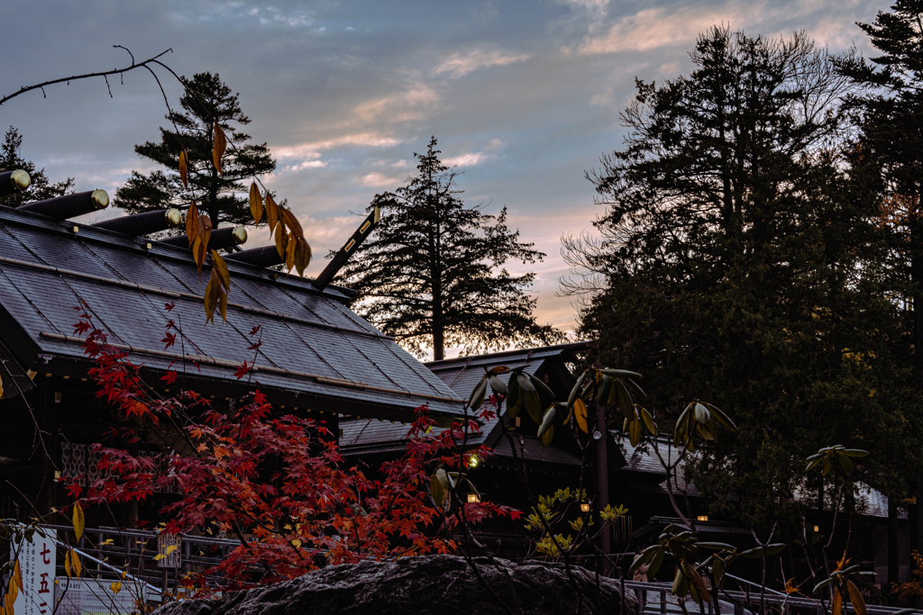 たそがれの北海道神宮